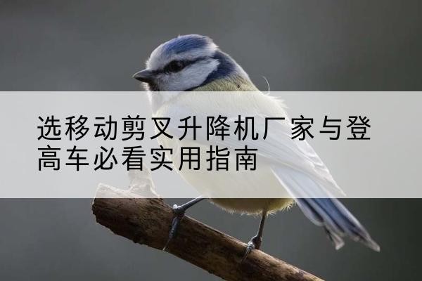 陵水电动升降机厂家-选移动剪叉升降机厂家与登高车必看实用指南