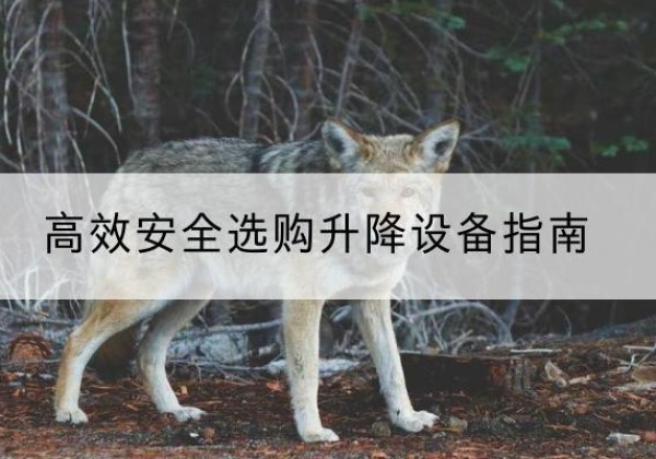 陵水升降货梯厂家推荐-*安全选购升降设备指南