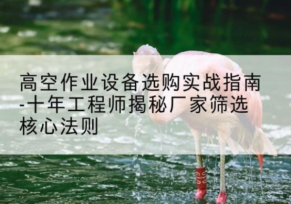 陵水剪叉式升降机厂家-高空作业设备选购实战指南-十年工程师揭秘厂家筛选核心法则